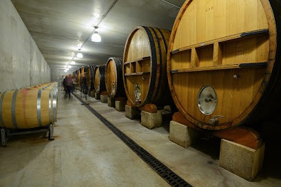 Clos Du Calvaire | Visite De Cave Et Dégustation | Famille Roumieux, Vignoble à Sorgues