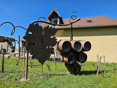 Faudot Sylvain Viticulteur, Vignoble à Saint-Cyr-Montmalin