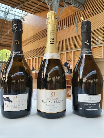 Champagne Brun et Compagnie, Vignoble à Aÿ-Champagne