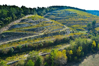MALMONT, Domaine Viticole, Vignoble à Sablet