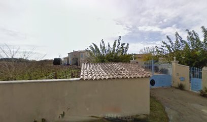 Mas Des Cygnes Earl, Vignoble à Aigues-Mortes