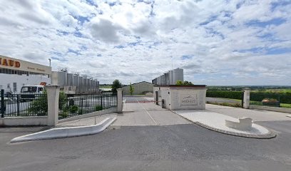 Cognac DE LUZE, Vignoble à Angeac-Champagne