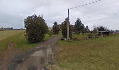 Domaine Laurent Sève, Vignoble à Val d'Oingt