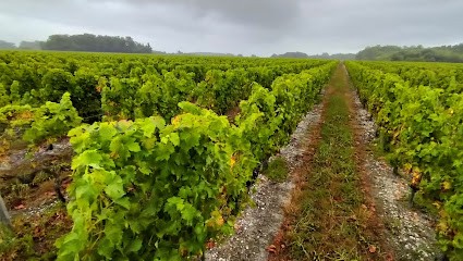 Videau Fabienne et Philippe (EARL), Vignoble à Bégadan