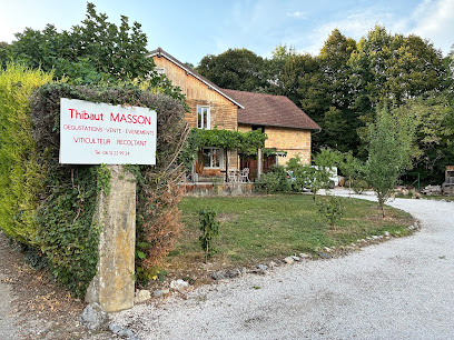 Vins Thibaut Masson Vignoble à Chapareillan