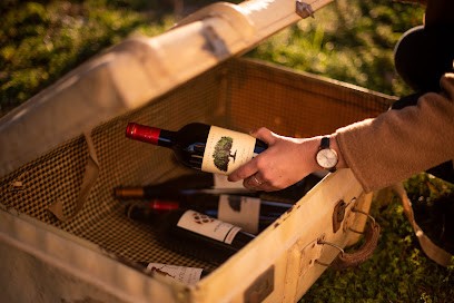 Maison Le Breton, Vignoble à Combaillaux