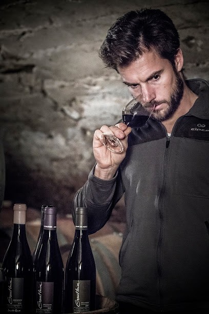 DOMAINE DES PIERRES SECHES, Vignoble à Ozon