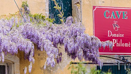 Domaine Sainte Philomene, Vignoble à Pélissanne