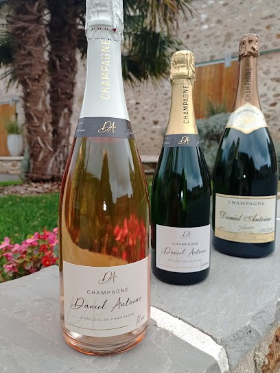 Champagne Daniel Antoine, Vignoble à Vallées en Champagne