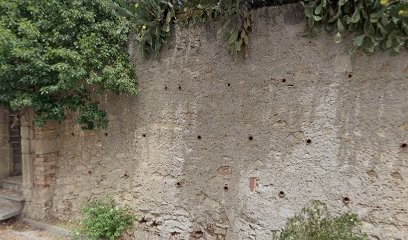 Coutelou Jean-Francois Etienne, Vignoble à Puimisson
