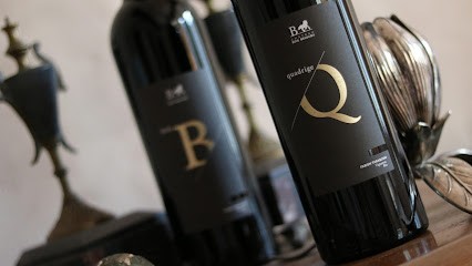 Château Bois Beaulieu, Vignoble à Saint-Sauveur-de-Meilhan