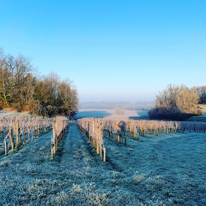 Domaine des 4 Vents, Vignoble à Puisseguin