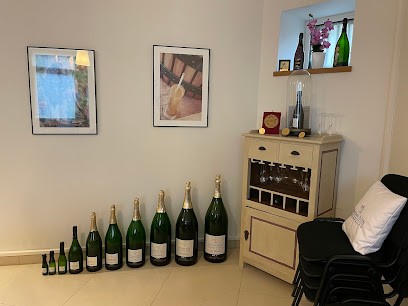 Champagne Maxime Blin, Vignoble à Trigny