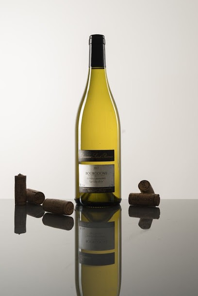 Domaine Xavier JULIEN, Vignoble à Auxerre