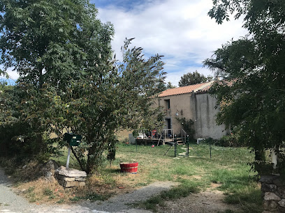 Ugo Lestelle, Vignoble à Pardailhan