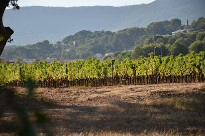 Château Gairoird Vignoble à Cuers