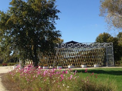 Chateau Bellevue De Tayac, Vignoble à Soussans