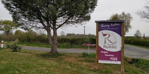Domaine Du Rueau, Vignoble à Val en Vignes