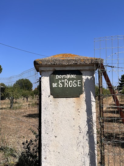 Domaine Bergé De Sainte-Rose, Vignoble à Vendres