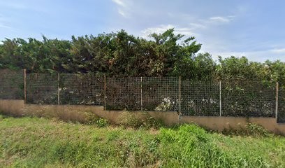 Domaine de l'Eveche, Vignoble à Espira-de-l'Agly