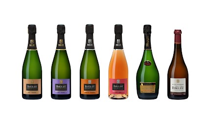 Champagne Jean-Yves Roulot, Vignoble à Vallées en Champagne