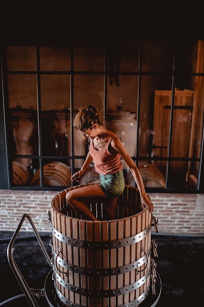 Advinam, Vignoble à Saint-Morillon