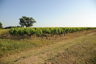 Château de la Croix, Vignoble à Ordonnac