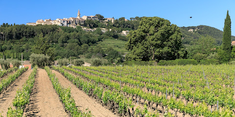 Domaine Marie Berenice Vignoble au Castellet