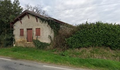 Château Génisson, Vignoble à Saint-Germain-de-Grave