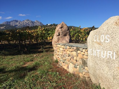 Clos Venturi, Vignoble à Morosaglia