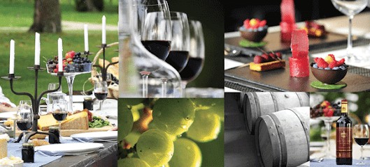 Château Larose Trintaudon, Vignoble à Saint-Laurent-Médoc