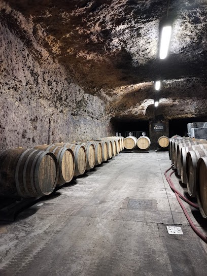 Château Gaudrelle, Vignoble à Rochecorbon