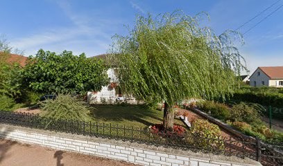 Bougaud Jean Pierre, Vignoble à Comblanchien