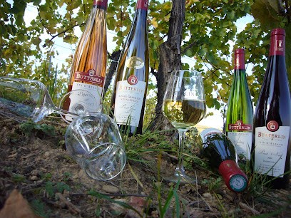 Domaine Butterlin, Vignoble à Wettolsheim