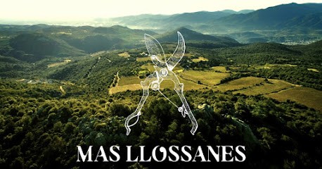 Vignoble Du Mas Llossanes, Vignoble à Tarerach