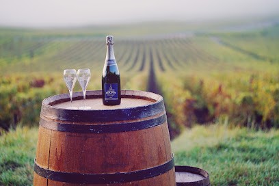 Champagne Bernard DEPOIVRE, Vignoble à Vindey