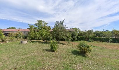 Domaine Morizet, Vignoble à Viré