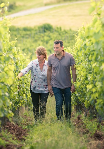 Domaine Grand, Vignoble à Passenans