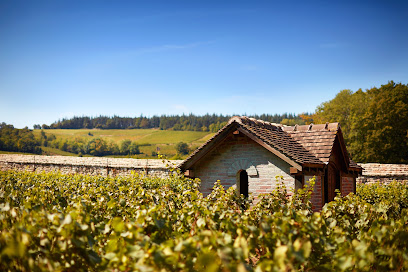 Domaine De La Bressande Vignoble à Mercurey
