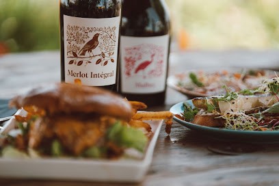 Château Morillon, Vignoble à Campugnan