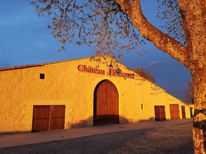 Château Flouquet Invictus, Vignoble à Saint-Sulpice-de-Faleyrens