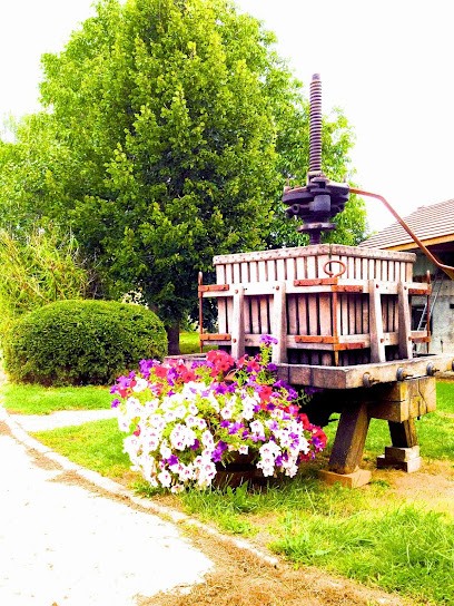 Champagne Lejeune-Dirvang, Vignoble à Val de Livre