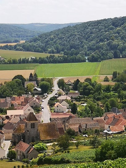 Champagne Didier Gadroy, Vignoble à Bonneil