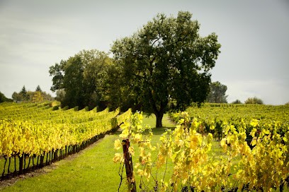 Vignobles Quebec, Vignoble à Rauzan