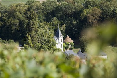 Domaine Du Nozay, Vignoble à Sainte-Gemme-en-Sancerrois