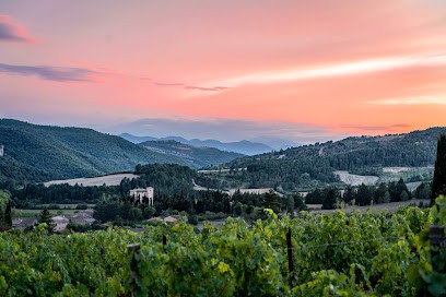 Vignoble Nicolas Therez, Vignoble à Serres