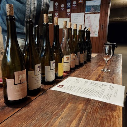 Desormière Michel, Vignoble à Renaison