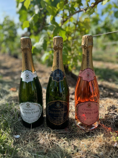 Champagne Chinchilla Vilmin Vignoble à Blancs-Coteaux