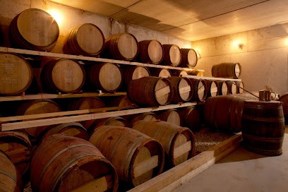 Domaine Les Ondines EARL, Vignoble à Sarrians