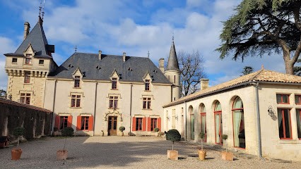 Château De Pressac, Vignoble à Saint-Étienne-de-Lisse